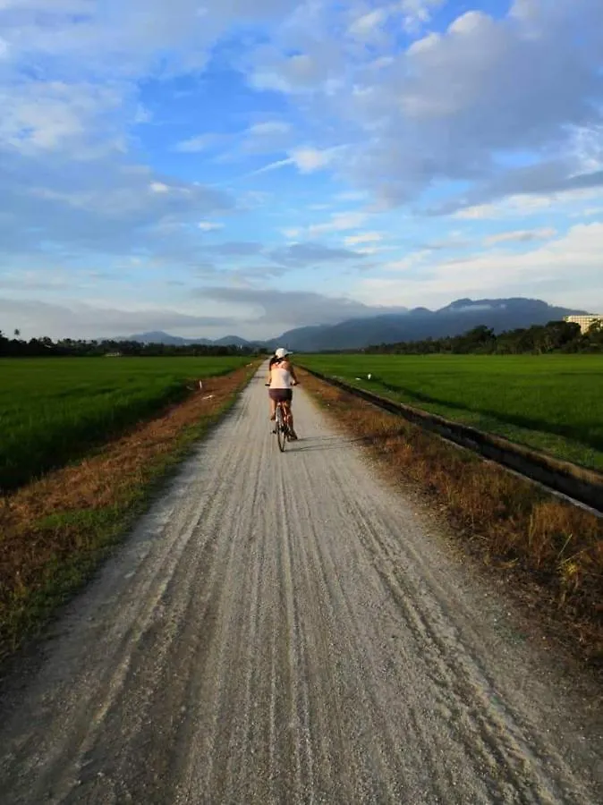 Guest house Nature Fruit Farm - Private Estate Balik Pulau